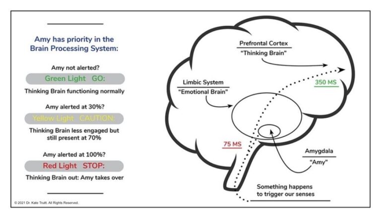 Healing The Fear Brain Trauma Counseling Center Of Los Angeles